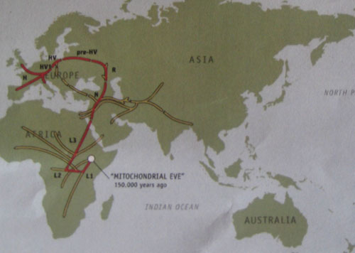 The map of my ancestors' migration. In retrospect, I bet they wish they'd gone via Morocco and Spain, it would have shaved a few years off the trip. Idiots.