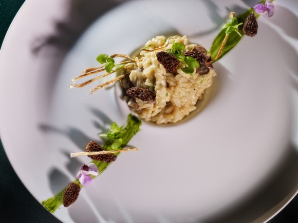 gaggan risotto 2